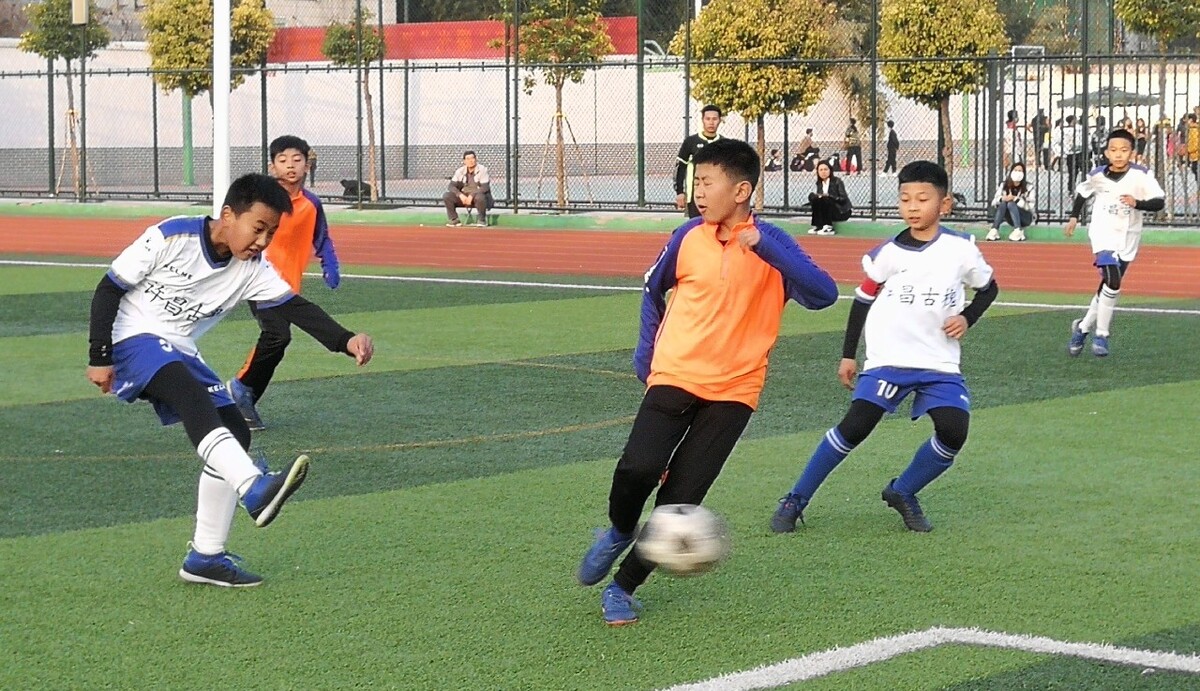 众的认可 众的认可