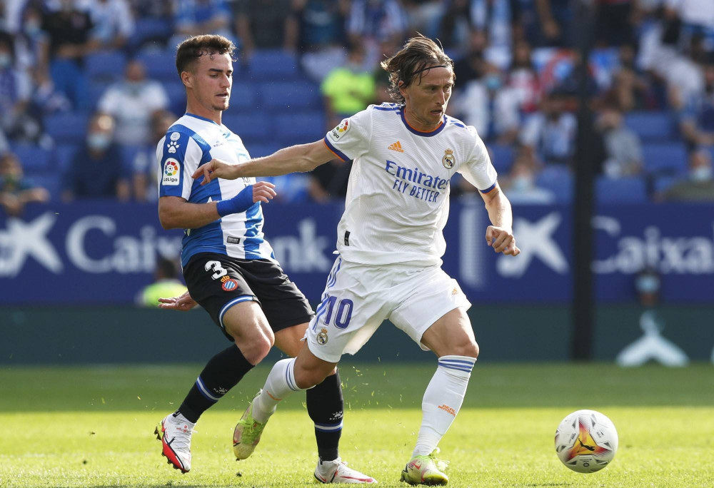 组织传导 组织传导